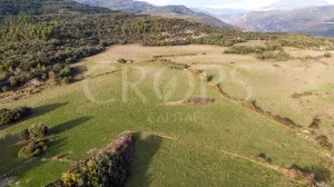 Finca con casa para rehabilitar en el Pirineo