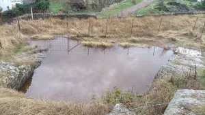 Finca rustica junto al pueblo