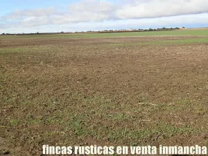 finca en venta 150 has. labor secano almendro