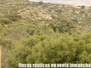 finca en venta 335 has. caza menor Cuenca