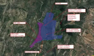 VENTA DE TIERRAS EN TIRIG/ALBOCASSER