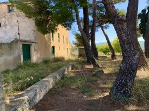 Finca rústica con producción ecológica y coto