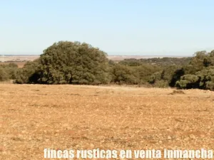 finca en venta 106 has. labor monte en Toledo