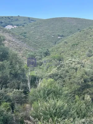 FINCA CINEGÉTICA VENTA ZONA DE LOS IBORES