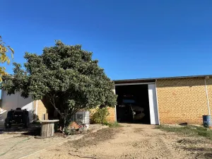 Finca rural Bollullos Par del Condado