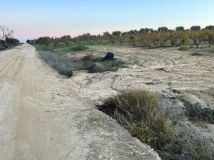 Finca con pozo Bollullos Par del Condado