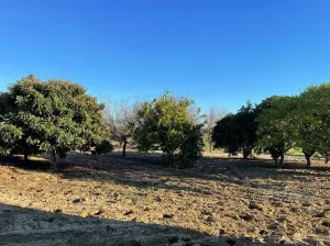 Finca con encanto  Bollullos Par del Condado