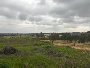 Finca en Las Palma del Condado - Huelva