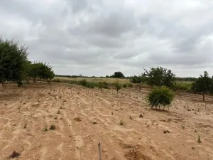 Finca en Bollullos par del condado Bollullos