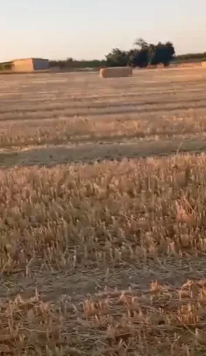 FINCA RUSTICA EN ALMAGRO, CIUDAD REAL, ESPAÑA