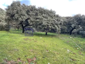 FINCA  110 HECTÁREAS EN LA ZONA DE ALCUESCAR