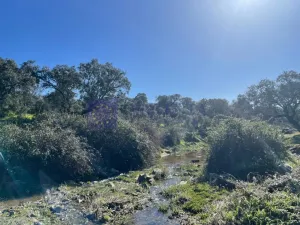 Se vende finca de 340 ha en Montánchez