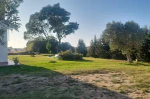 Finca ecuestre cerca de Cádiz en venta.