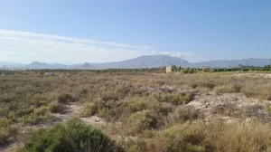Finca Rústica en Monforte del Cid, Alicante - ¡Una Oportunidad Única! 🌳🌞