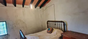 Finca en La Romana - Alicante