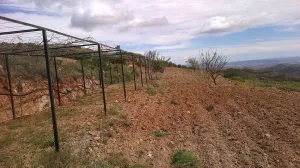 Finca con catorce hectareas.