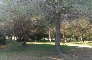 Finca Rústica en Algeciras