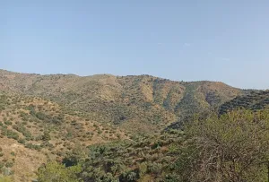 Finca Rústica en Málaga