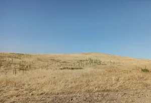 Finca Rústica en Santa Cruz de Retamar