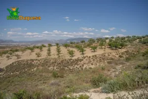 Terreno junto a nueva carretera Motril
