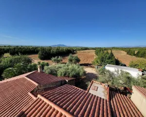 Finca rústica de 22ha con 3 viviendas, nave y zona agrícola en Camarles