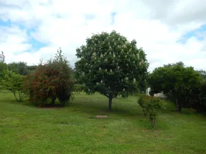 VENTA DE TERRENO CON VIVIENDA EN LA VERA
