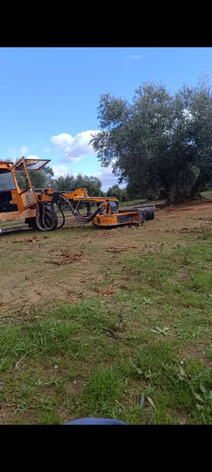 Espectacular finca de olivos en Jaén