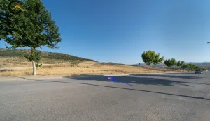 FINCA RÚSTICA EN  DILAR.