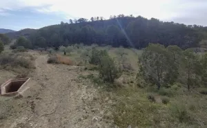 Preciosa finca rústica con excelente potencial en Relleu