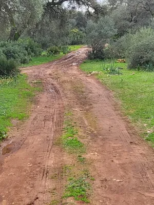Se vende finca con vistas increíbles