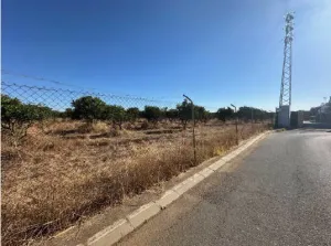 Finca de Regadío en Carmona