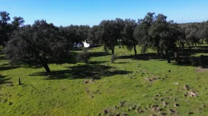 Finca Santiago do Cacém - Setúbal