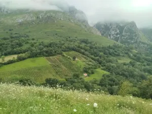 Cabaña con plantación de arandanos