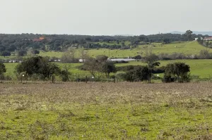 FINCA GANADERA Y DE CULTIVO CERCA DE CÁCERES