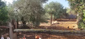 FINCA RÚSTICA CON CASA Y ALMACÉN