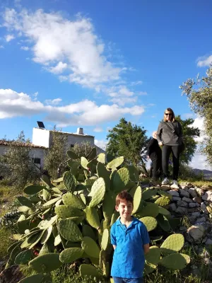 VENTA DE FINCA OLIVAR Y MONTE EN JAÉN