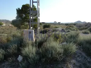 Finca en Agost Alicante