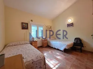 Finca Rústica en San Vicente cerca del Polideportivo