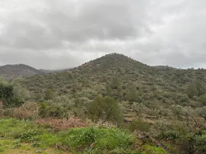 Casita rústica con luz, agua y vistas espectaculares.