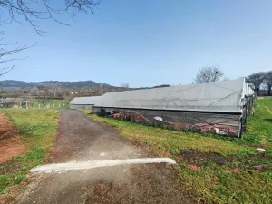 explotación agrícola en Llanera
