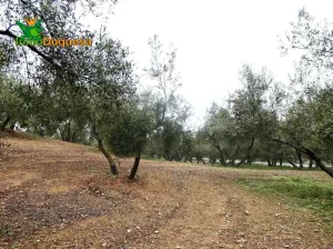 Finca rústica en Peligros - Sierra de la Alfaguara.