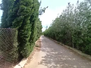 Finca con buen acceso