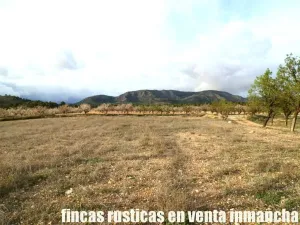 finca en venta 125 has. labor-almendros-monte
