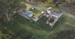 Finca de 159 ha en Doñana /Coto privado