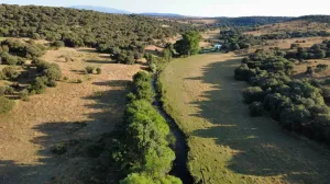 Finca Rústica en Pizarral, Salamanca