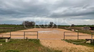Hípica en venta a menos de 1 hora de Madrid