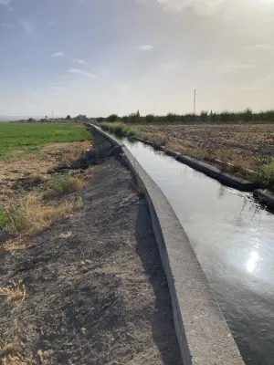Finca agrícola de regadío en la vega Granada