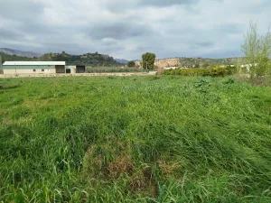 Finca rústica en Xerta con acceso directo al río Ebro