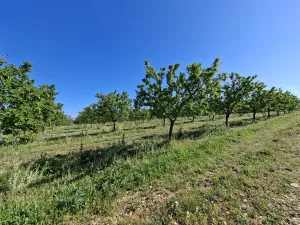 Explotación agropecuaria en producción de 21h