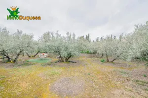 Finca rústica en OGIJARES (Incluye MOBILE HOME)